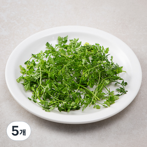 챠빌, 10g, 5개
