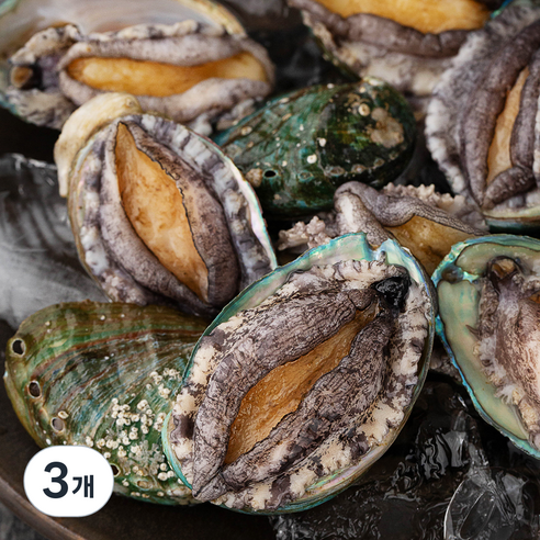 다복 청정바다를 담은 활전복 500g, 500g(꼬마 15~25미), 3개