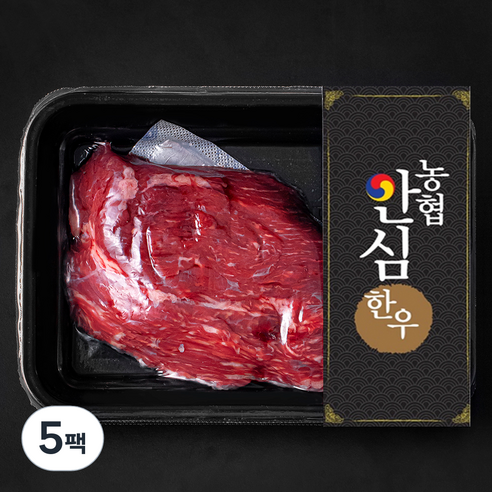 농협안심한우 양지 덩어리 1등급 국거리 수육 장조림용 (냉장), 300g, 5팩