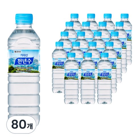천년수 생수, 500ml, 80개