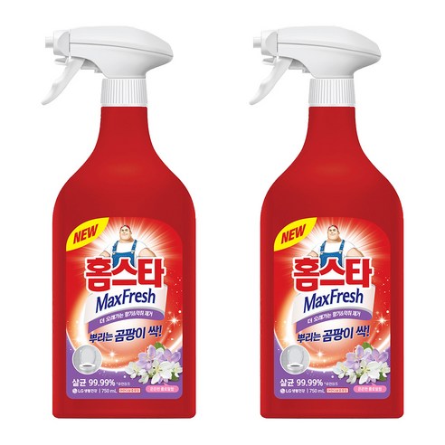 홈스타 맥스프레쉬 뿌리는 곰팡이 싹 세정제, 3L, 2개