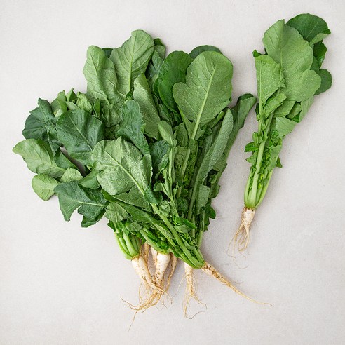 열무, 900g, 1단