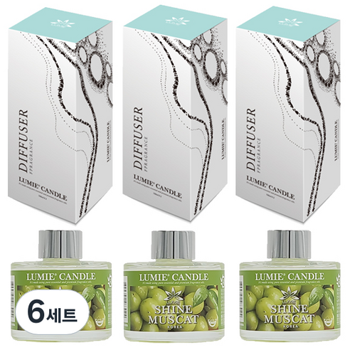 르미에 식물성 주정 디퓨저 100ml x 3p + 리드스틱 5p x 3개 세트, 샤인머스캣, 6세트