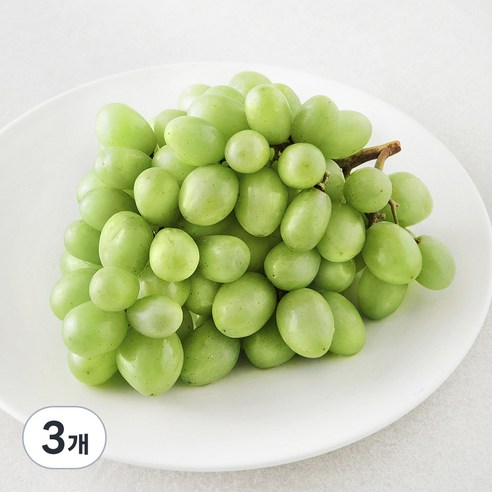 칠레 청포도, 3개, 450g