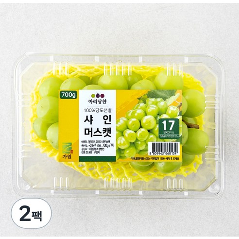 아리당찬 고당도 샤인머스캣, 700g, 2팩