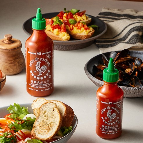 마법의 가루 한 스푼, 평범한 일상을 특별하게!