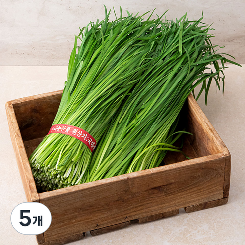 국내산 부추, 1kg, 5개