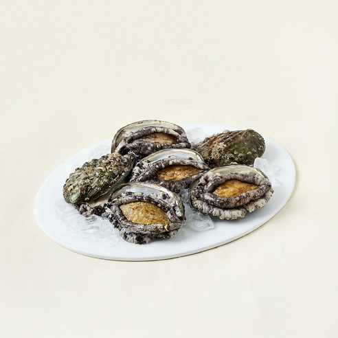 완도맘 활전복 왕왕특대 6마리 1kg + 솔 랜덤발송 세트, 1세트