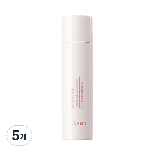 더샘 에코 소울 퍼펙트 메이크업 픽서, 100ml, 5개