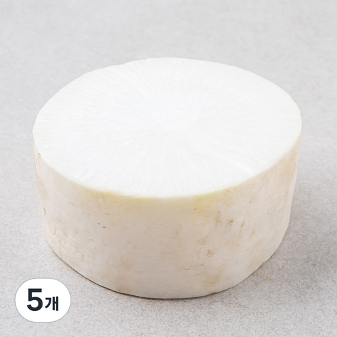 제주 친환경 절단무, 400g, 1개입, 5개, 400g