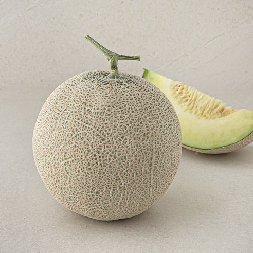 곰곰 세지 멜론, 1.9kg, 1개
