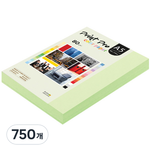종이문화 프린트 프로 칼라 복사용지 No 13 에메랄드 80g, A5, 750개