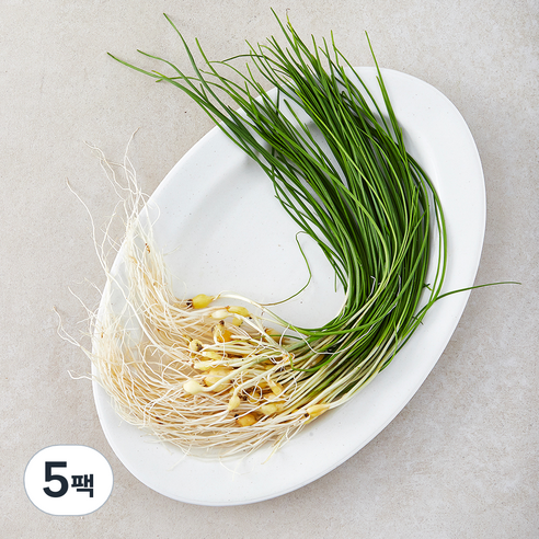 국내산 달래, 60g, 5팩