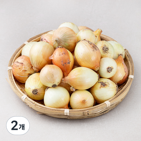 국내산 양파(장아찌용), 4kg, 2개