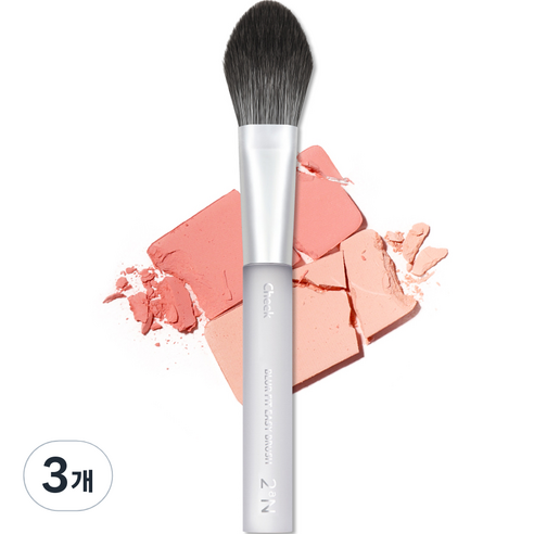 투에이엔 블러 핏 이지 브러쉬 치크 20g, 3개, 혼합색상