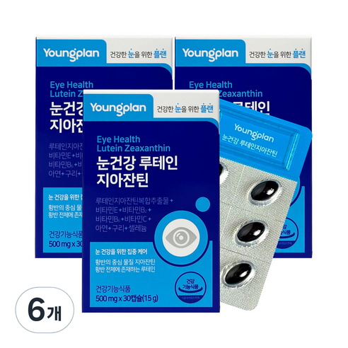 영진약품 영플랜 눈건강 루테인 지아잔틴 15g, 6개, 30정