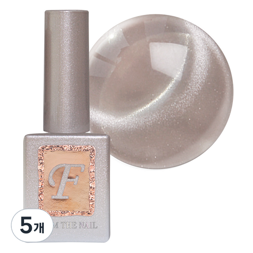 프롬더네일 MAGNET 젤네일, 10g, FG 221, 5개
