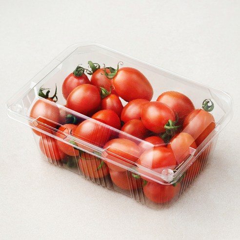 친환경적으로 재배된 맛있고 영양가 풍부한 대추방울 토마토로 건강과 지속 가능성을 향상하세요.