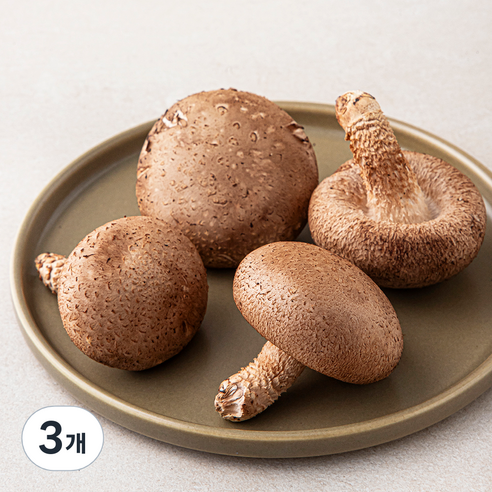 국내산 표고버섯, 100g, 3개, 100g × 3개이라는 상품의 현재 가격은 4,500입니다.
