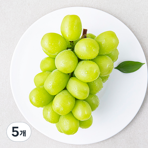 수플린 아삭아삭 샤인머스캣, 550g, 5개