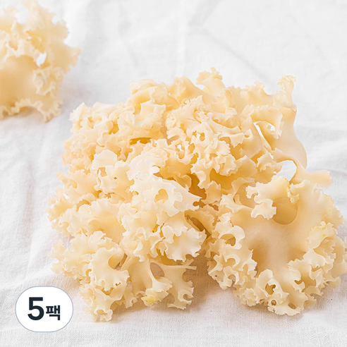 친환경 꽃송이버섯, 80g, 5팩