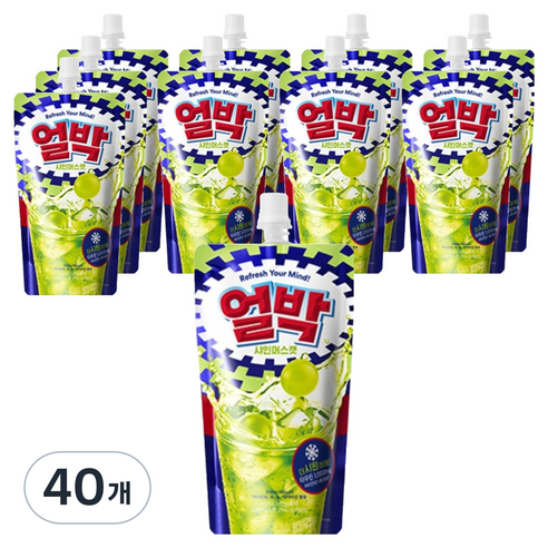 박카스 얼박 샤인머스캣