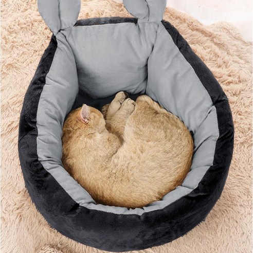 파스텔펫 냥이 꿀잠 마약 쿠션방석, 블랙