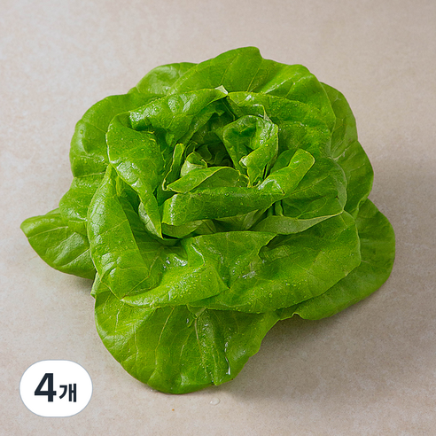 국내산 무농약 버터헤드레터스, 90g, 4개