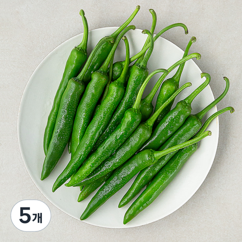 국내산 풋고추, 300g, 5개