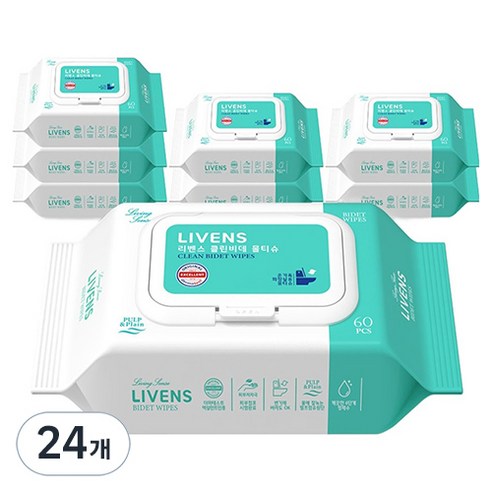 리벤스 소프트 클린 화장실 비데티슈 캡형, 55g, 60매, 24개