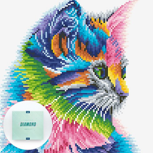 디클레어 액자 캔버스형 보석십자수 DIY 키트 30 x 30 cm, 1세트, 레인보우 고양이