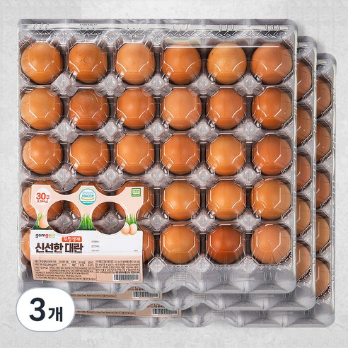 곰곰 무항생제 신선한 대란, 30구, 3개