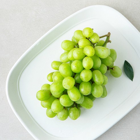 곰곰 호주산 씨없는 청포도, 1개, 450g