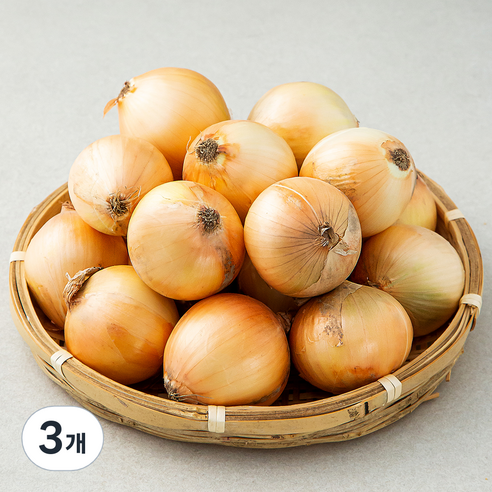 곰곰 양파(장아찌용), 3kg, 3개