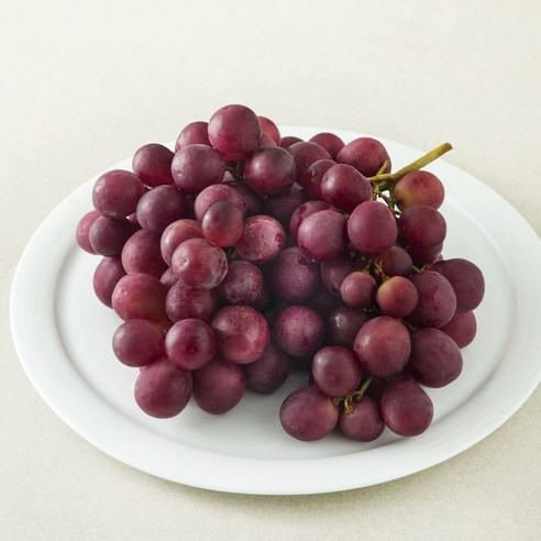 PSK 칠레 레드글로브, 1.2kg, 1팩