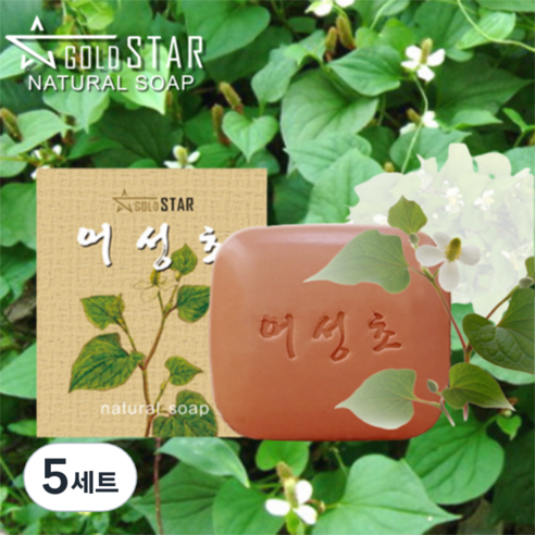 골드스타 야생 어성초 100g 팔라완 천연노니 set + 비누거품망, 5세트