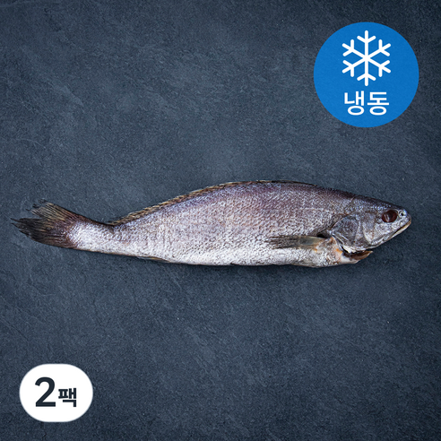 목포수협 민어 통치 (냉동), 450g, 2팩
