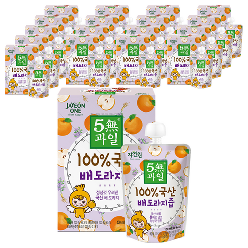 자연원 100% 국산 배도라지즙, 100ml, 72개
