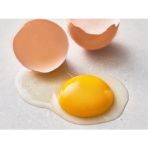 건강한 닭이 낳은 건강한 달걀, 농협 동물복지 유정란으로 건강한 식탁을!