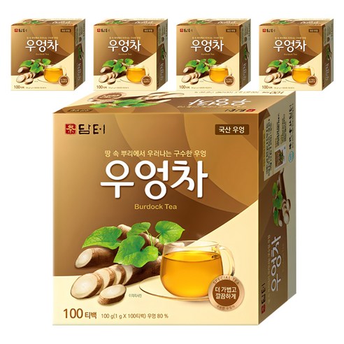 담터 우엉차, 1g, 100개입, 5개