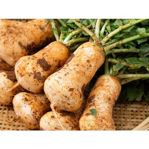 국내산 햇알타리무 하나로 쉽고 맛있는 밥상 완성!