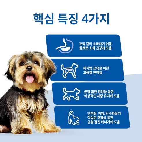 우리 댕댕이, 힐스사이언스다이어트로 똥강아지 시절 몸매 되찾기!