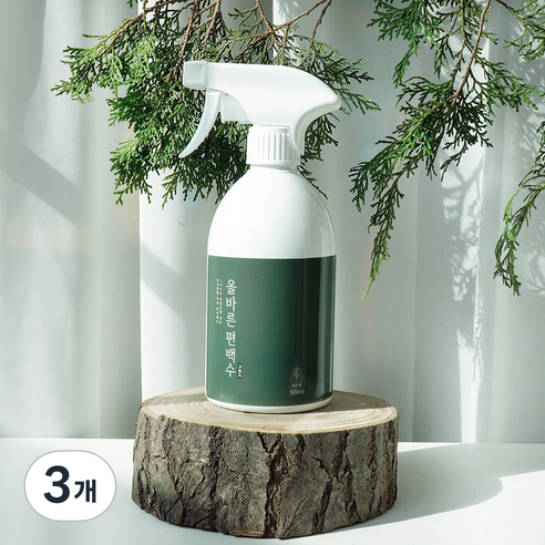 페인트인포 올바른 고농도 편백수 피톤치드 스프레이 본품, 300ml, 3개