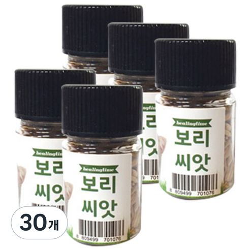 힐링타임 캣그라스 씨앗, 보리, 30개