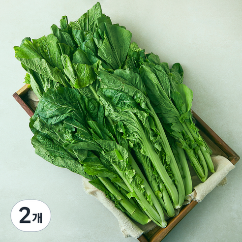 국내산 돌산갓, 2kg, 2개