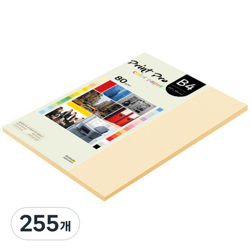 종이문화 프린트 프로 칼라 복사용지 No 02 아이보리 80g, B4, 255개
