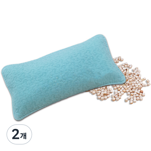 편백아트 프리미엄 편백 큐브칩 베이직 베개, 민트(베개커버), 랜덤발송(속커버), 2개