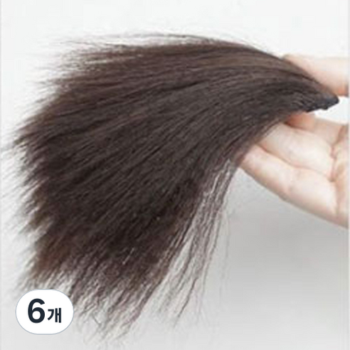 타이탄 정수리 볼륨 뽕 부분가발 20cm, 6개, 다크 브라운