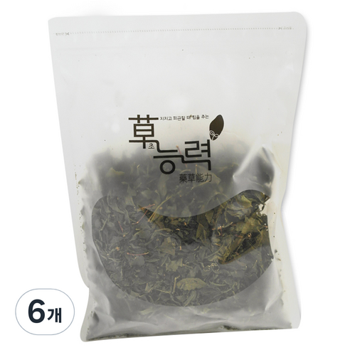 초능력 녹차, 100g, 6개, 1개입