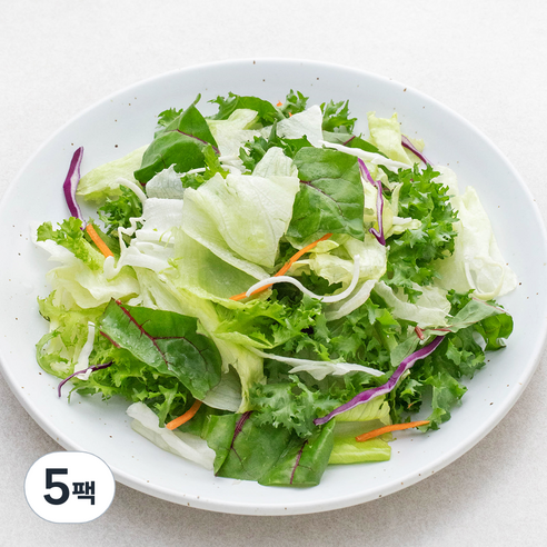 팜에이트 패밀리 샐러드, 500g, 5팩